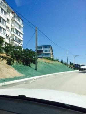 Прикрепленное изображение: 13256192_1057737774300268_5959902527433622304_n.jpg